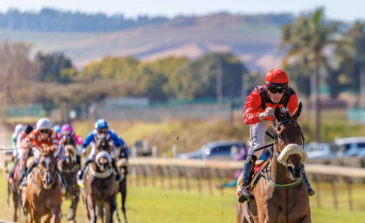 Dean Kannemeyer Racing (@racekannemeyer) on Twitter photo Princess Of Gaul secures debut victory for owner Fred Crabbia <a href="/Hollywoodbets/">Hollywoodbets</a> Scottsville. A convincing win, guided by Jockey <a href="/craig_zackey/">Craig Zackey</a>. The filly was bred by Mr. CP Murphy & is a half-sister to 6-time winner Kingdundee.
Well done to the entire team! Princess Of Gaul secures debut victory for owner Fred Crabbia <a href="/Hollywoodbets/">Hollywoodbets</a> Scottsville. A convincing win, guided by Jockey <a href="/craig_zackey/">Craig Zackey</a>. The filly was bred by Mr. CP Murphy & is a half-sister to 6-time winner Kingdundee.
Well done to the entire team!