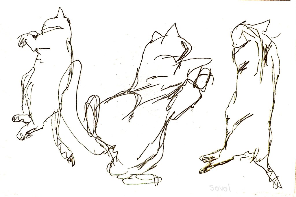 SovolFor's tweet photo. my cat #cats #art #catart #sketchart #sketch #cates https://t.co/9Nq2JM4CwJ