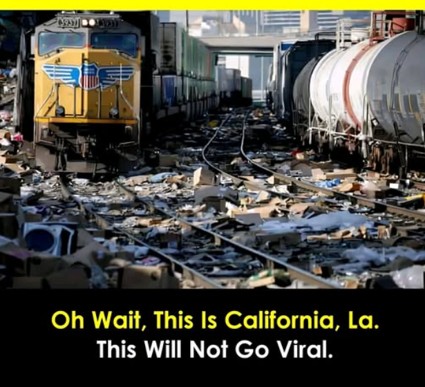 DhamajiHarsh's tweet photo. @elonmusk Oh california is not much developed yet, and international media just keep degrading developing countries only. @california @realDonaldTrump https://t.co/X5qhIPDZXU