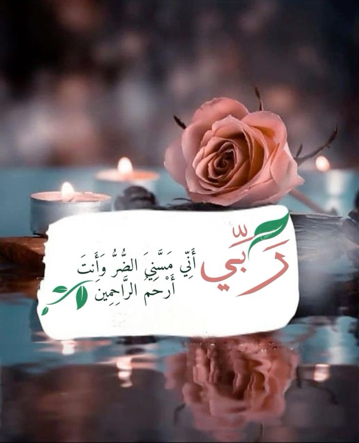 𝐒ҽԋαʀ 👑 (@sehar___) on Twitter photo #ملک_پرموشن
Follow/™️
<a href="/0Mahiii/">khan Ki Khilariii 🏏</a>
<a href="/01Mllik/">𝙈𝘼𝙇𝙄𝙆 𝙅𝙄💫💙</a>
<a href="/1Mahii_/">🦋ماہی ملک 🦋</a>
<a href="/1arshd/">𝗔𝗿𝘀𝗵𝗱 𝗠𝗹𝗶𝗸💫👑</a>
<a href="/sehr_ik/">سحر ملک 🦋🦋</a>
<a href="/01rshd/">ارشـــد مــلــک❤️</a>
<a href="/0Sehrr/">سحر ملک 🕊️🦋</a>
<a href="/1Arshii/">𝓐𝓻𝓼𝓱𝓲 𝓜𝓵𝓲𝓴 ☪ツ</a>
<a href="/111mn1/">🐬آمنہ ملک🦋</a>
<a href="/1Sehar_/">𝐒ҽԋαʀ 👑</a>
<a href="/glmsjd/">𝑺𝒂𝒋𝒋𝒂𝒅 ✨</a>
<a href="/shz787/">🌟⭐️🌟🌟sʜᴀʜᴢᴀᴅ ᴍᴜɴɪʀ🌟⭐️🌟⭐️</a>
<a href="/1shobii/">Shoaib</a>
<a href="/10bshr/">Bashir Ahmed</a>
<a href="/11ain_a/">AnuM🪡</a>
<a href="/Snam5_/">🍁Sanam🍁</a>
<a href="/shZ447/">𝕊𝕙𝕒𝕙𝕫𝕒𝕕 𝕄𝕦𝕟𝕚𝕣</a>
<a href="/bndy66/">Asil khawaja 55</a>
<a href="/Hurain_5/">Hurain 💞حورین</a>
<a href="/Haris_943/">Haris PTI ᵀᶠᴸᵂ</a>
<a href="/1fazl2/">فضـ𝓪𝓴𝓫𝓪𝓻ـل</a> <a href="/1fzalI/">💓PTI ACCOUNTS PROMORTER💓</a>
<a href="/Fat9T/">Arshia🥀🍂</a> <a href="/Znt33/">🦋ZêēñäT</a>
<a href="/guljnt/">گُل جنت🌷</a> <a href="/11iasd/">Ali Asad</a>
<a href="/NM1k_/">༺ 💎𒆜𝑵𝑬𝑬𝑵𝑨𝑯𒆜💎 ༻</a> <a href="/Ghz35/">🇬 🇭 🇦 🇿 🇦 🇱 🇦 🇭</a>
<a href="/NK_pti/">𝒜𝓏𝒶𝒹 🇵🇰</a> <a href="/Pir_80/">Peer Shb</a> <a href="/_1rhe/">شازیہ</a> #ملک_پرموشن
Follow/™️
<a href="/0Mahiii/">khan Ki Khilariii 🏏</a>
<a href="/01Mllik/">𝙈𝘼𝙇𝙄𝙆 𝙅𝙄💫💙</a>
<a href="/1Mahii_/">🦋ماہی ملک 🦋</a>
<a href="/1arshd/">𝗔𝗿𝘀𝗵𝗱 𝗠𝗹𝗶𝗸💫👑</a>
<a href="/sehr_ik/">سحر ملک 🦋🦋</a>
<a href="/01rshd/">ارشـــد مــلــک❤️</a>
<a href="/0Sehrr/">سحر ملک 🕊️🦋</a>
<a href="/1Arshii/">𝓐𝓻𝓼𝓱𝓲 𝓜𝓵𝓲𝓴 ☪ツ</a>
<a href="/111mn1/">🐬آمنہ ملک🦋</a>
<a href="/1Sehar_/">𝐒ҽԋαʀ 👑</a>
<a href="/glmsjd/">𝑺𝒂𝒋𝒋𝒂𝒅 ✨</a>
<a href="/shz787/">🌟⭐️🌟🌟sʜᴀʜᴢᴀᴅ ᴍᴜɴɪʀ🌟⭐️🌟⭐️</a>
<a href="/1shobii/">Shoaib</a>
<a href="/10bshr/">Bashir Ahmed</a>
<a href="/11ain_a/">AnuM🪡</a>
<a href="/Snam5_/">🍁Sanam🍁</a>
<a href="/shZ447/">𝕊𝕙𝕒𝕙𝕫𝕒𝕕 𝕄𝕦𝕟𝕚𝕣</a>
<a href="/bndy66/">Asil khawaja 55</a>
<a href="/Hurain_5/">Hurain 💞حورین</a>
<a href="/Haris_943/">Haris PTI ᵀᶠᴸᵂ</a>
<a href="/1fazl2/">فضـ𝓪𝓴𝓫𝓪𝓻ـل</a> <a href="/1fzalI/">💓PTI ACCOUNTS PROMORTER💓</a>
<a href="/Fat9T/">Arshia🥀🍂</a> <a href="/Znt33/">🦋ZêēñäT</a>
<a href="/guljnt/">گُل جنت🌷</a> <a href="/11iasd/">Ali Asad</a>
<a href="/NM1k_/">༺ 💎𒆜𝑵𝑬𝑬𝑵𝑨𝑯𒆜💎 ༻</a> <a href="/Ghz35/">🇬 🇭 🇦 🇿 🇦 🇱 🇦 🇭</a>
<a href="/NK_pti/">𝒜𝓏𝒶𝒹 🇵🇰</a> <a href="/Pir_80/">Peer Shb</a> <a href="/_1rhe/">شازیہ</a>