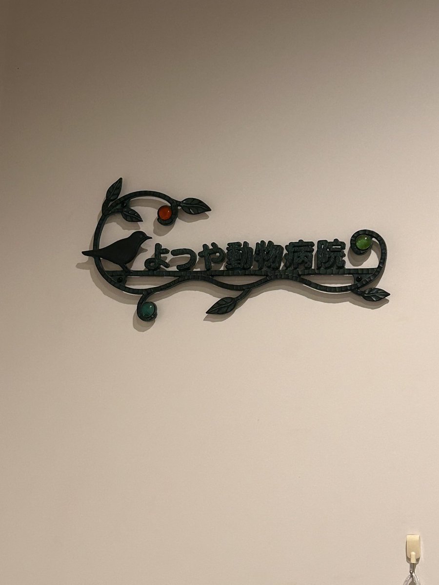 HMaman2018's tweet photo. ハルくんが
口呼吸1時間以上やまらず、、、
高山は動物病院が日曜日休みで😰
息子に車かっ飛ばしてもらって
富山まで来てる😢 https://t.co/mNpu5jiX91