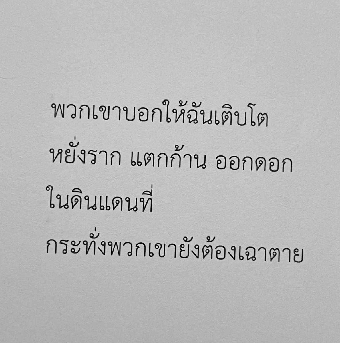 ร้านกลิ่นหนังสือ tweet media