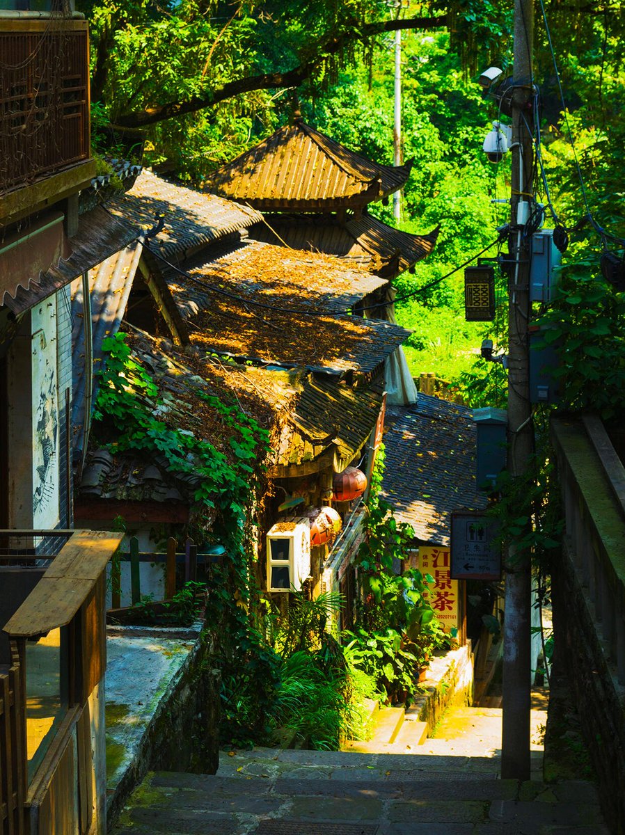 这个夏天🌱我又回到了小时候的老街❤️
#互