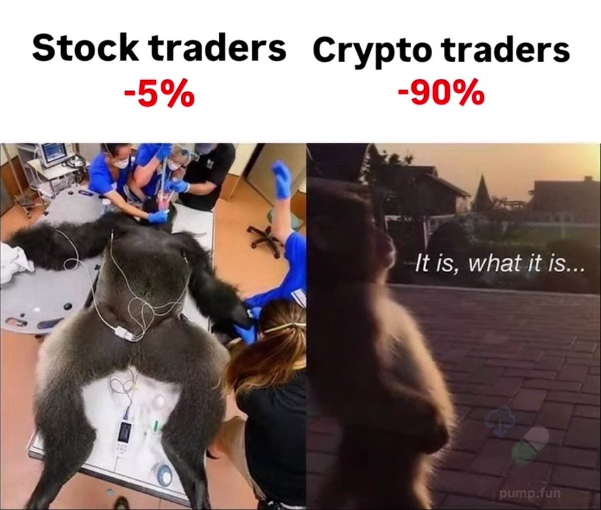 Regrets (@regrets10x) on Twitter photo 