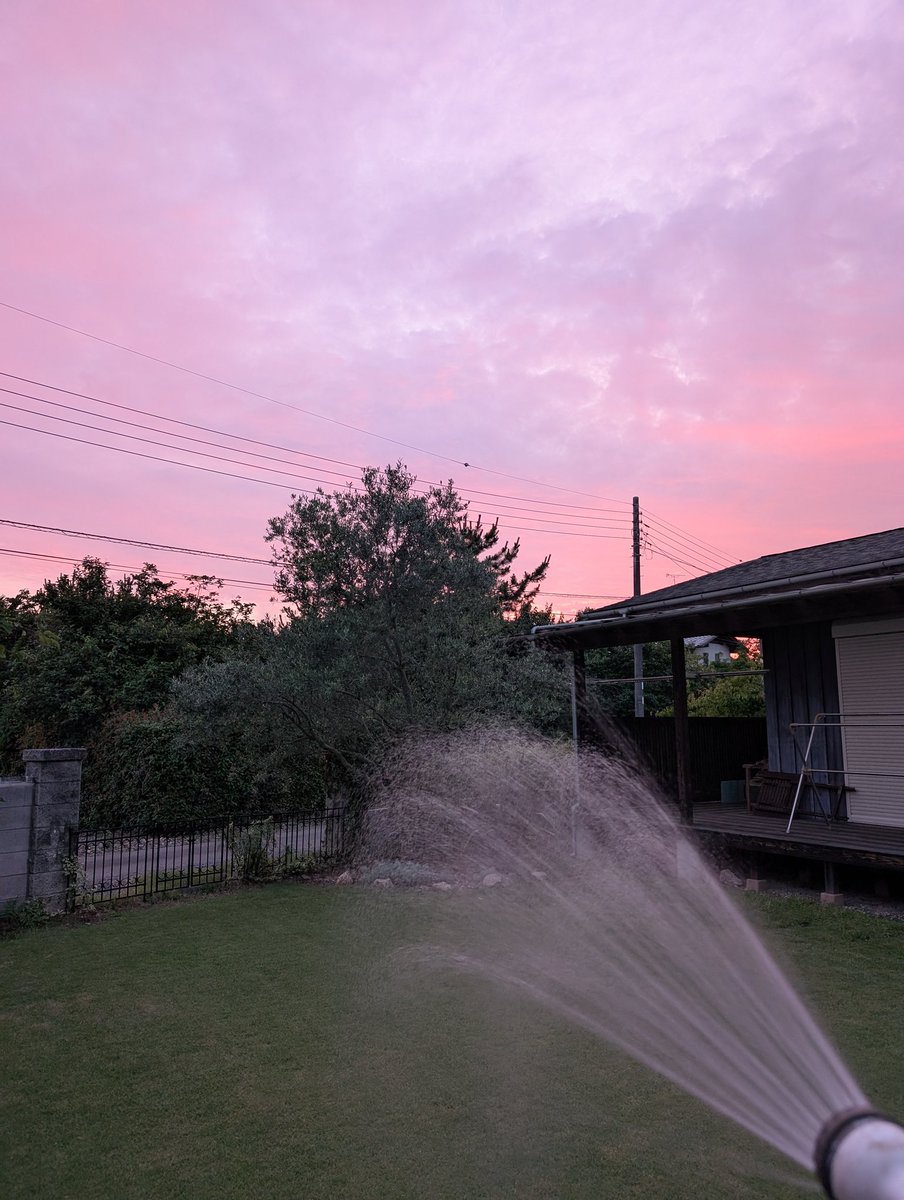 FreezesingE's tweet photo. Water the grass you cut during the hot day. It cools down considerably as the sun goes down. It responds to the amount of care you put in. Looking at a neatly trimmed lawn is soothing. https://t.co/8FKK4p33Mr