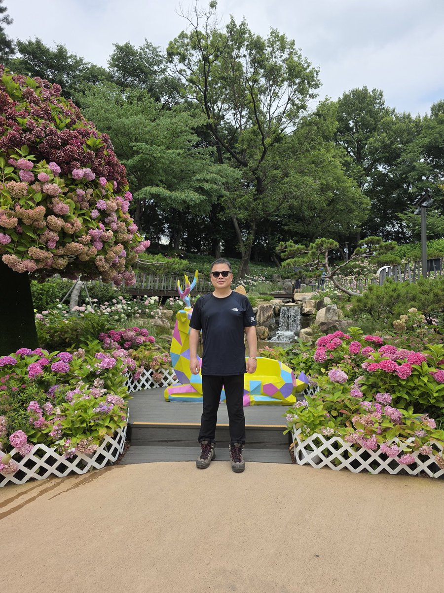 6.29 초안산 둘레길 트레킹코스를 걸었습니다.