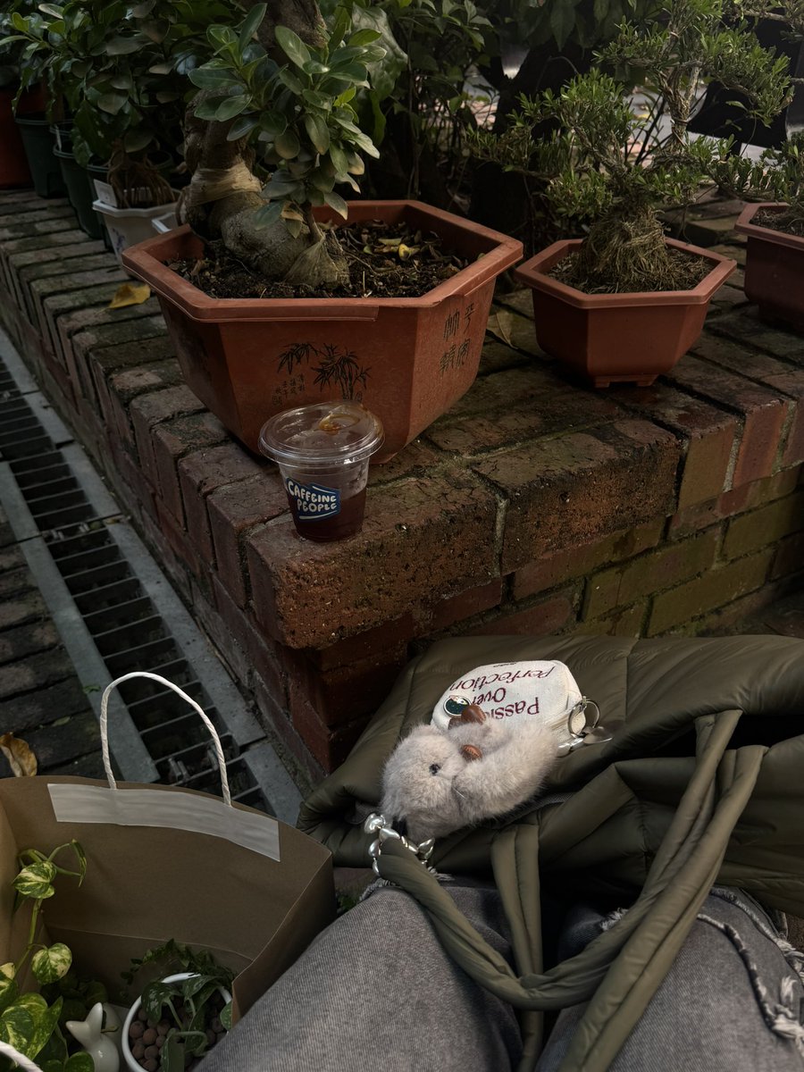 vrlemonade's tweet photo. New plant babies and coffee today! https://t.co/IG08bvz12D