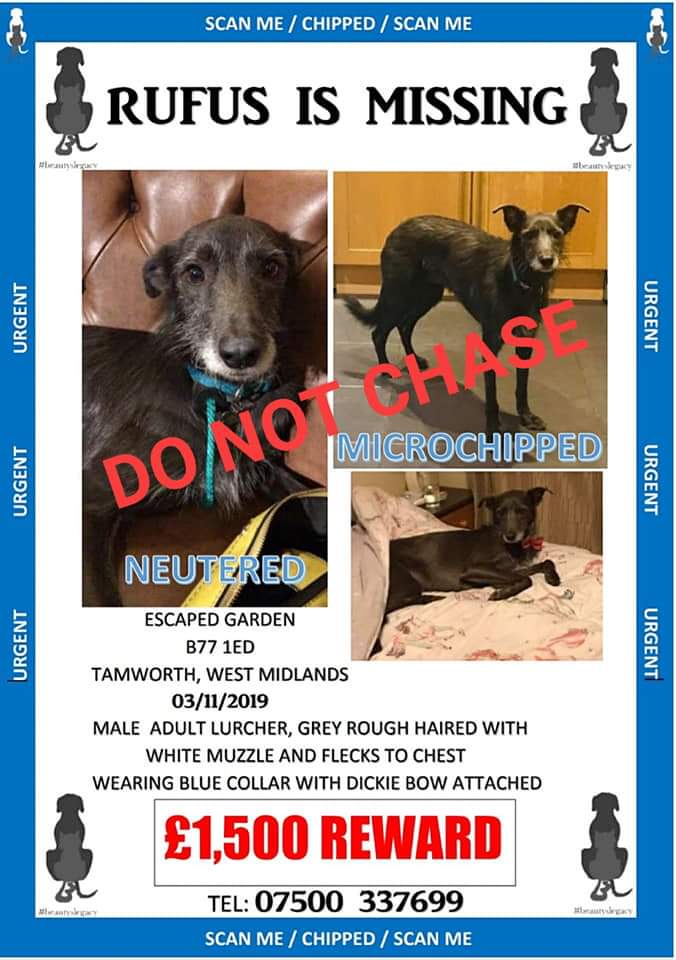 #UK Please dont forget about RUFUS.

£10,000 REWARD If you took him in thinking he was a stray, or you know someone who did, please be brave &amp; get in touch.

Perhaps you were sold him &amp; you didn't know he was stolen? you can 100% remain anonymous #stolendoghour