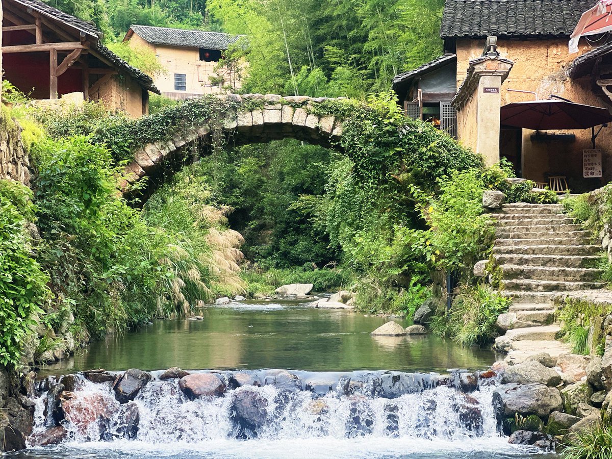 小志蜀黍S tweet media