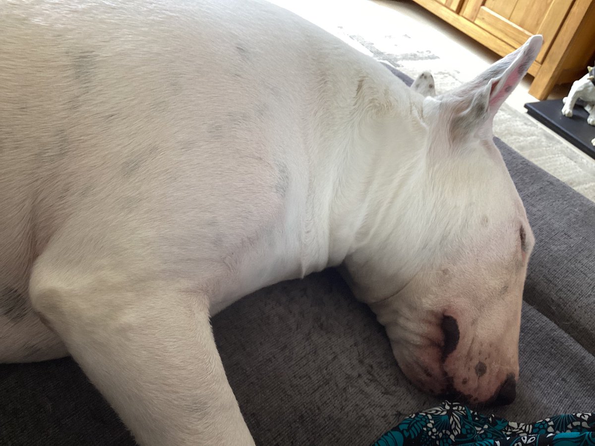 Ate me tea .. time to chill …