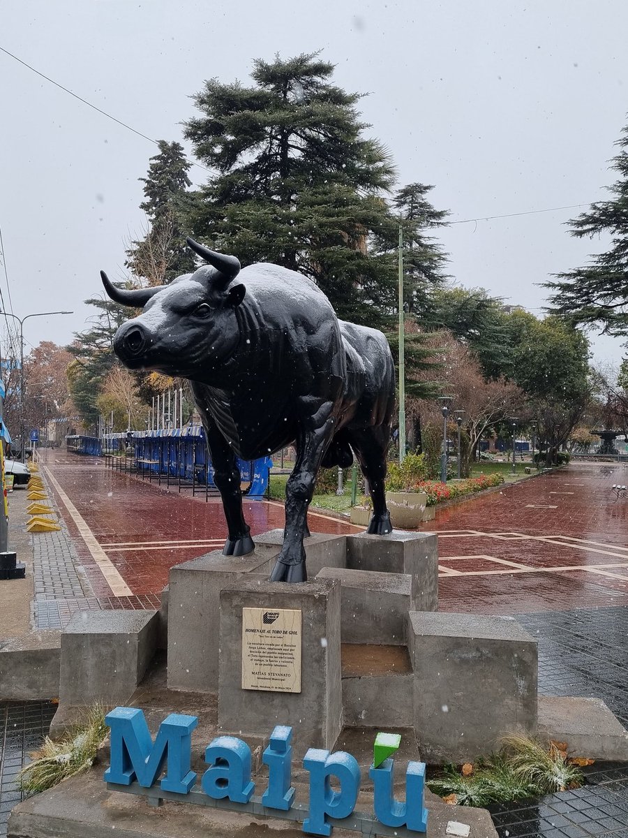 ❄️ Nuestra querida Plaza Departamental, 12 de Febrero, se vistió de blanco. 💫