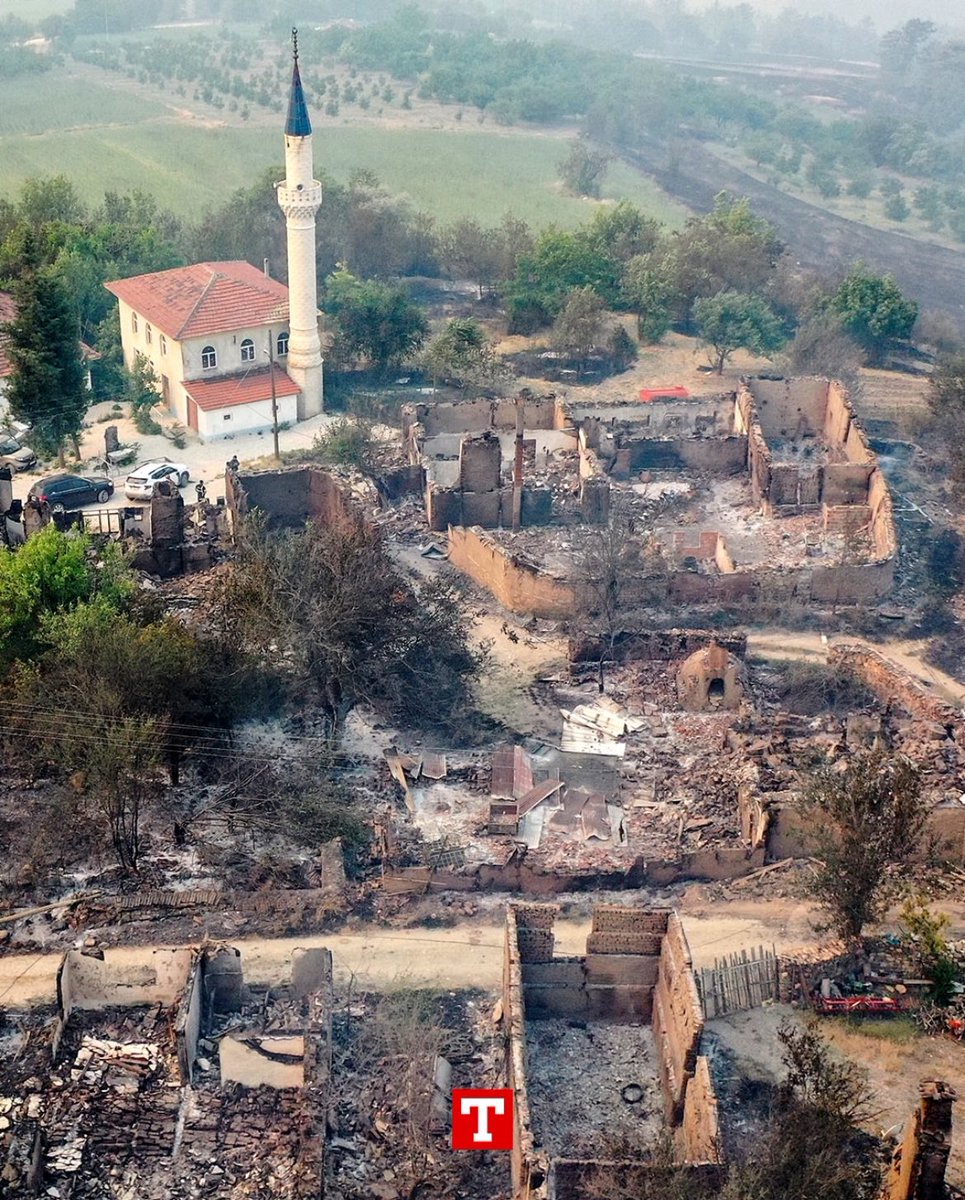 Sema Soykan tweet media