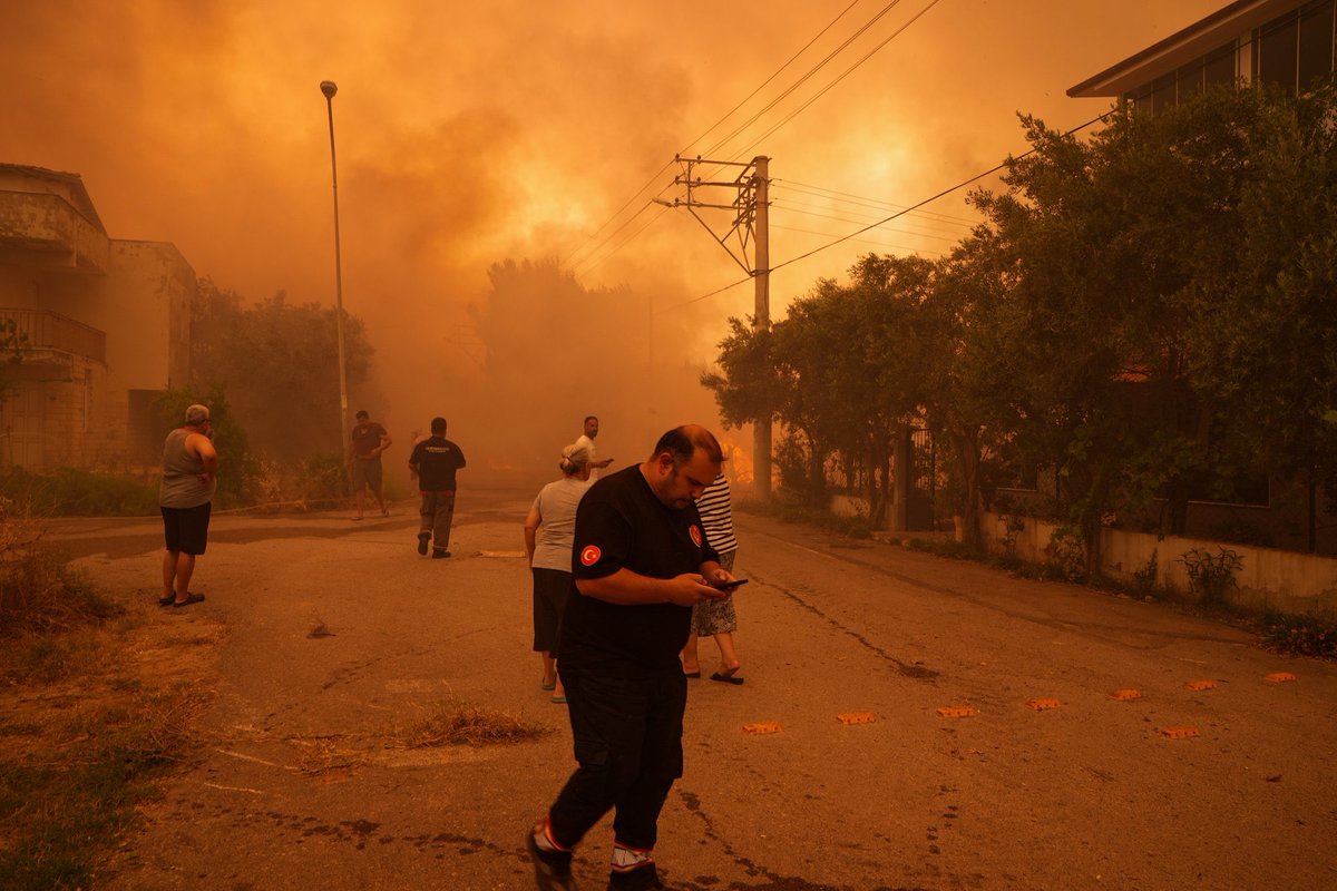 Sema Soykan tweet media