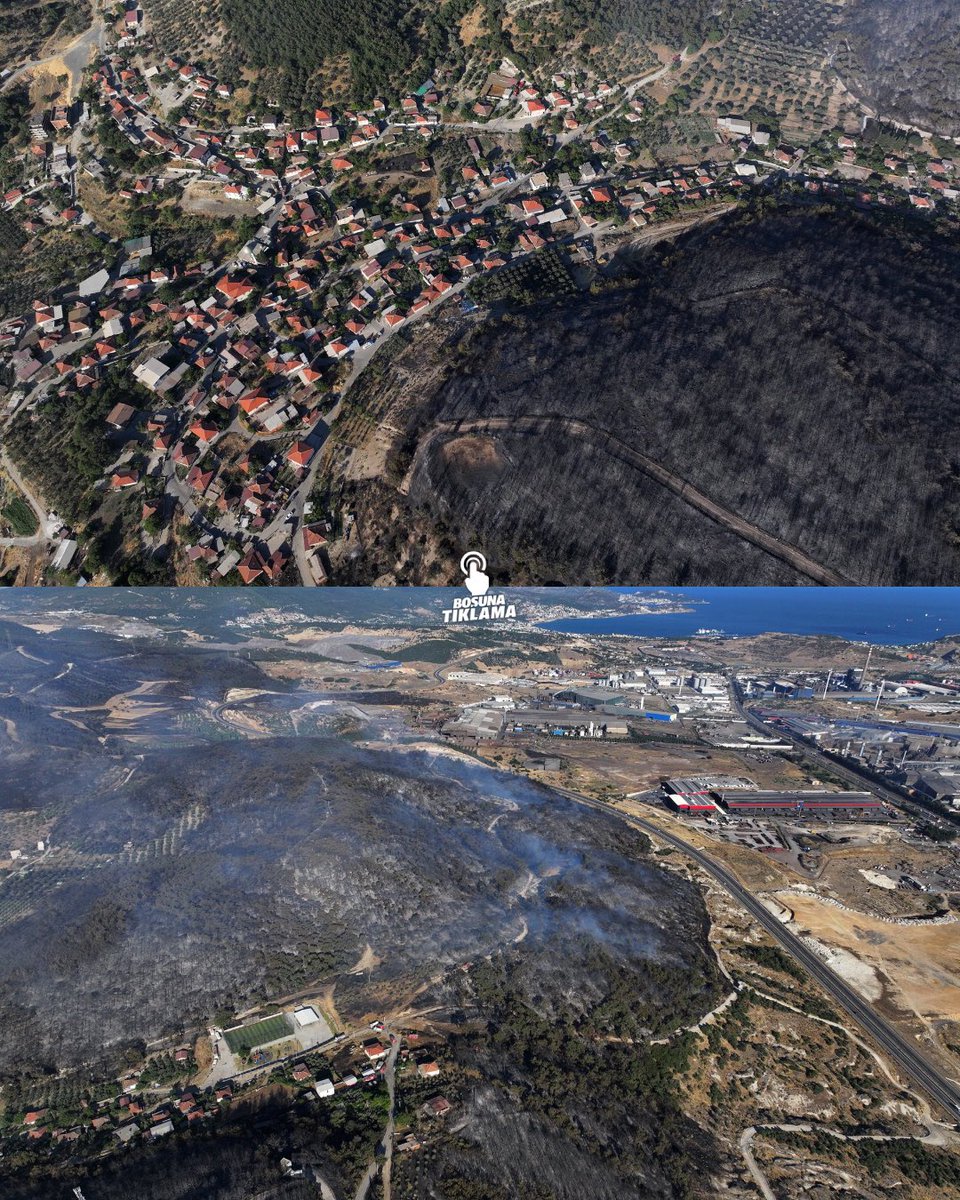 Sema Soykan tweet media