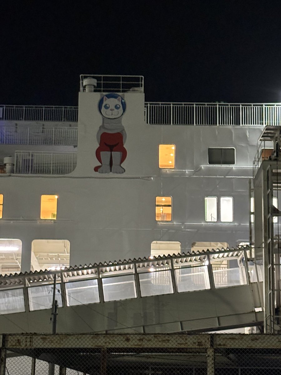 いつもと違う緊張感を感じながら乗船
お出かけします