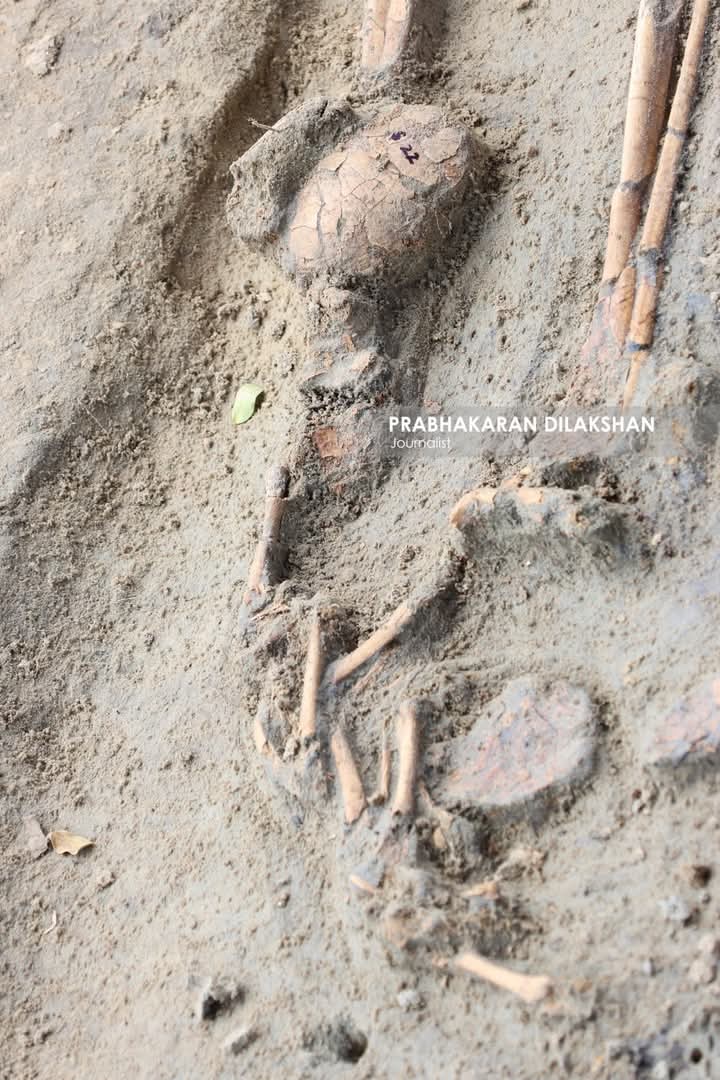 JaffnaTroll's tweet photo. செம்மணி சித்துபாத்தி மனிதப் புதைகுழியின் நேற்று சனிக்கிழமை  அகழ்வின் போது மேலும் 3 மனித எலும்புக்கூடுகள் அடையாளம். குழந்தையின் காப்பு, பெண்ணின் கைப்பையும் மீட்பு. 
#semmani #Tamil https://t.co/L0SsikGnVO