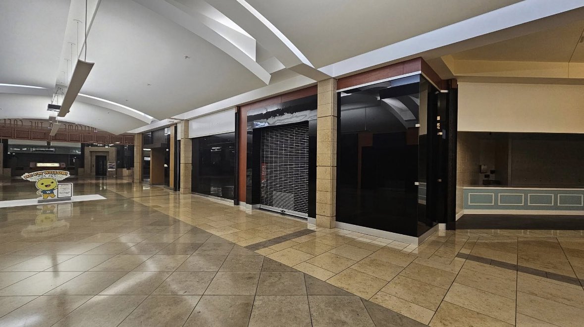 Amy Nixon tweet media