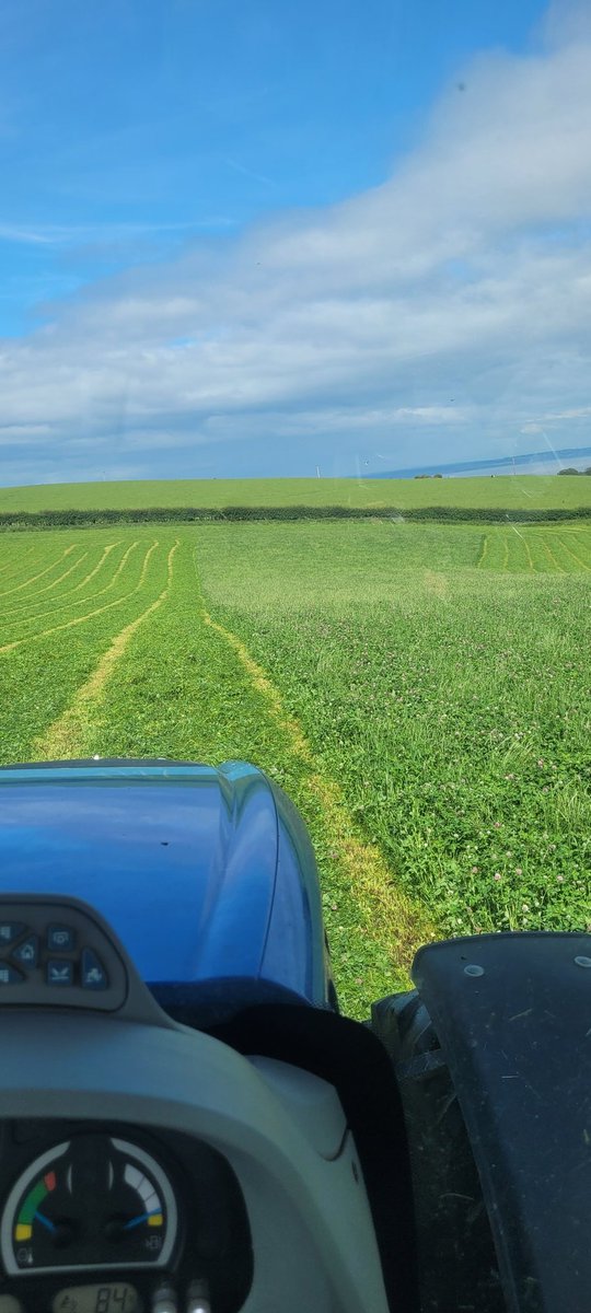 Mathew Roberts (@farmermat1) on Twitter photo Sneak some 2nd cut in between showers,Red clover 🍀 power 🚀⛽️🏴 Sneak some 2nd cut in between showers,Red clover 🍀 power 🚀⛽️🏴