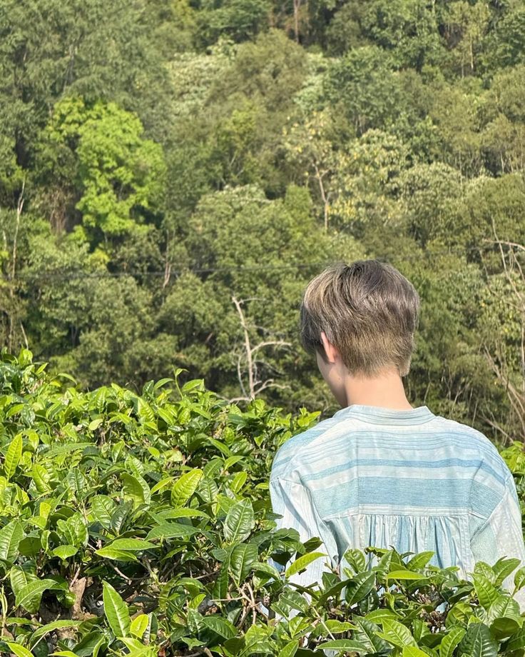 ty93s's tweet photo. 🌱🍃🌳🍀🌲 https://t.co/GQ912OECy2