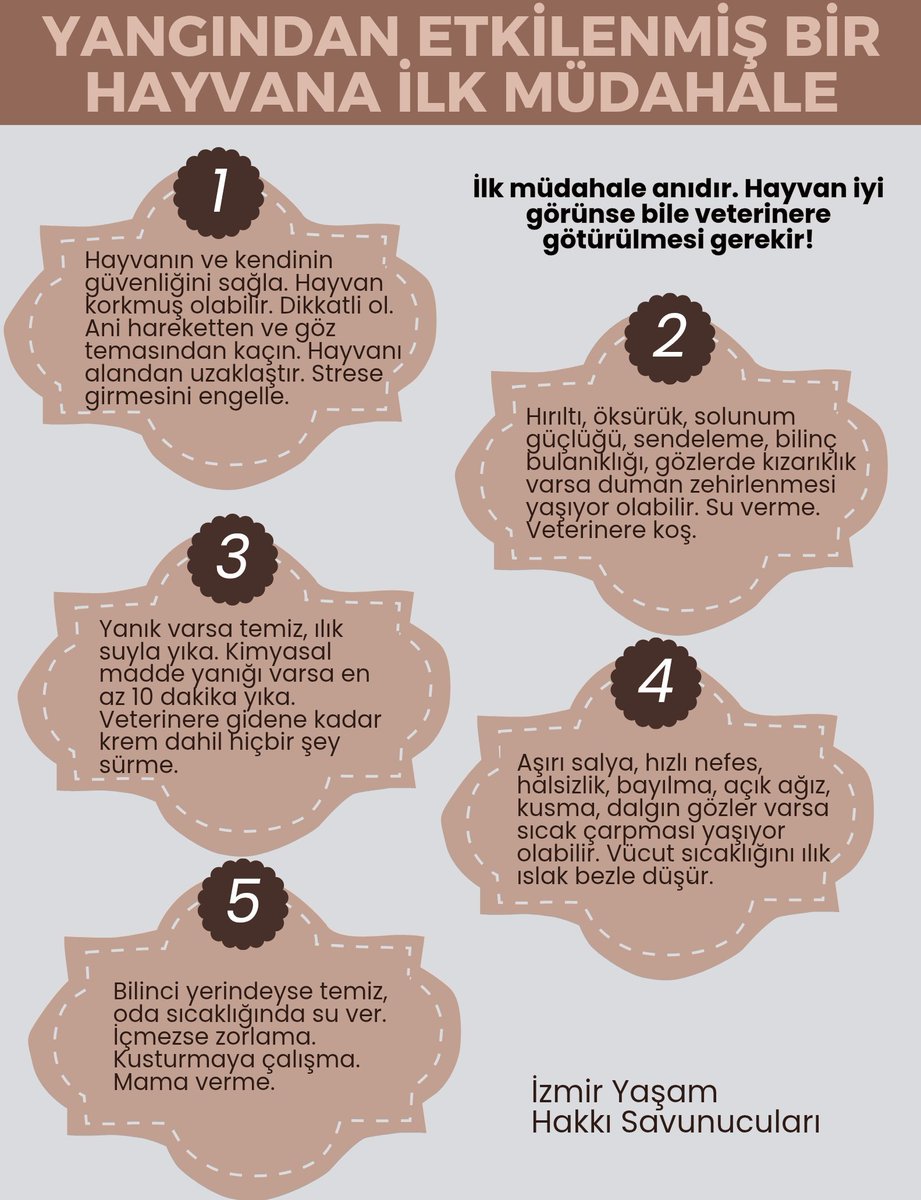 Yangınlarda her ne kadar "can kaybı yok" dense de binlerce canlı sessizce yok oluyor. Kriz anlarında yanlış müdahalelerden kaçınalım. Kurtardığımız hayvanı mutlaka veterinere götürelim. 

#yangın #izmir