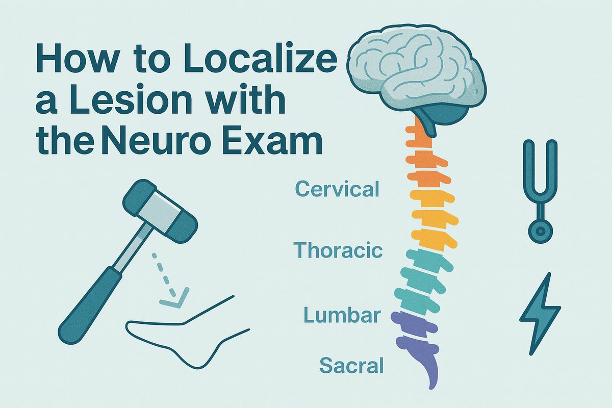 💥 July 1 is coming. That means brand new interns and brand new Neuro residents! Ready to turn that reflex hammer into a GPS for finding lesions? 

Let's review how to localize using your neuro exam 👇