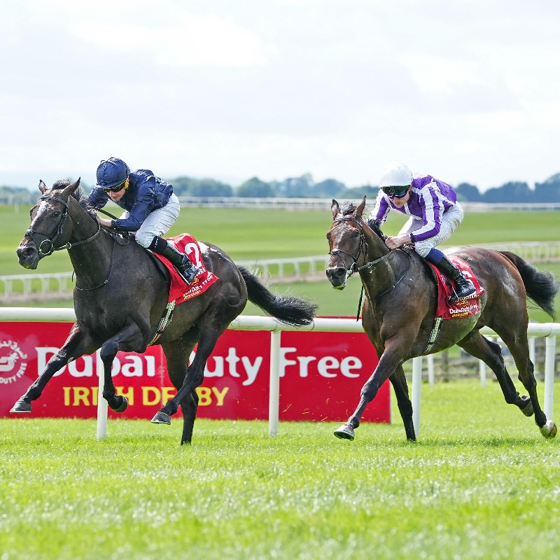 International Thoroughbred (@interthorough) on Twitter photo Epsom Derby form ✅
Lambourn (Australia) wins Irish Derby <a href="/curraghrace/">The Curragh Racecourse</a>, beats Lazy Griff (3rd) again
Yet another G1 & Classic performance in 2025 by Wootton Bassett 3yo: sire of 2nd-placed Serious Contender, from @coolmore's family of Henrythenavigator & Cliffs Of Moher Epsom Derby form ✅
Lambourn (Australia) wins Irish Derby <a href="/curraghrace/">The Curragh Racecourse</a>, beats Lazy Griff (3rd) again
Yet another G1 & Classic performance in 2025 by Wootton Bassett 3yo: sire of 2nd-placed Serious Contender, from @coolmore's family of Henrythenavigator & Cliffs Of Moher