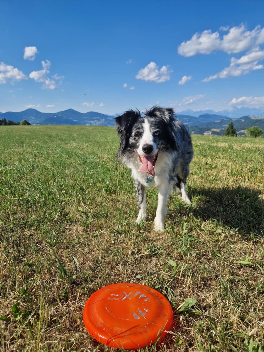 Mal višje se lažje diha💪