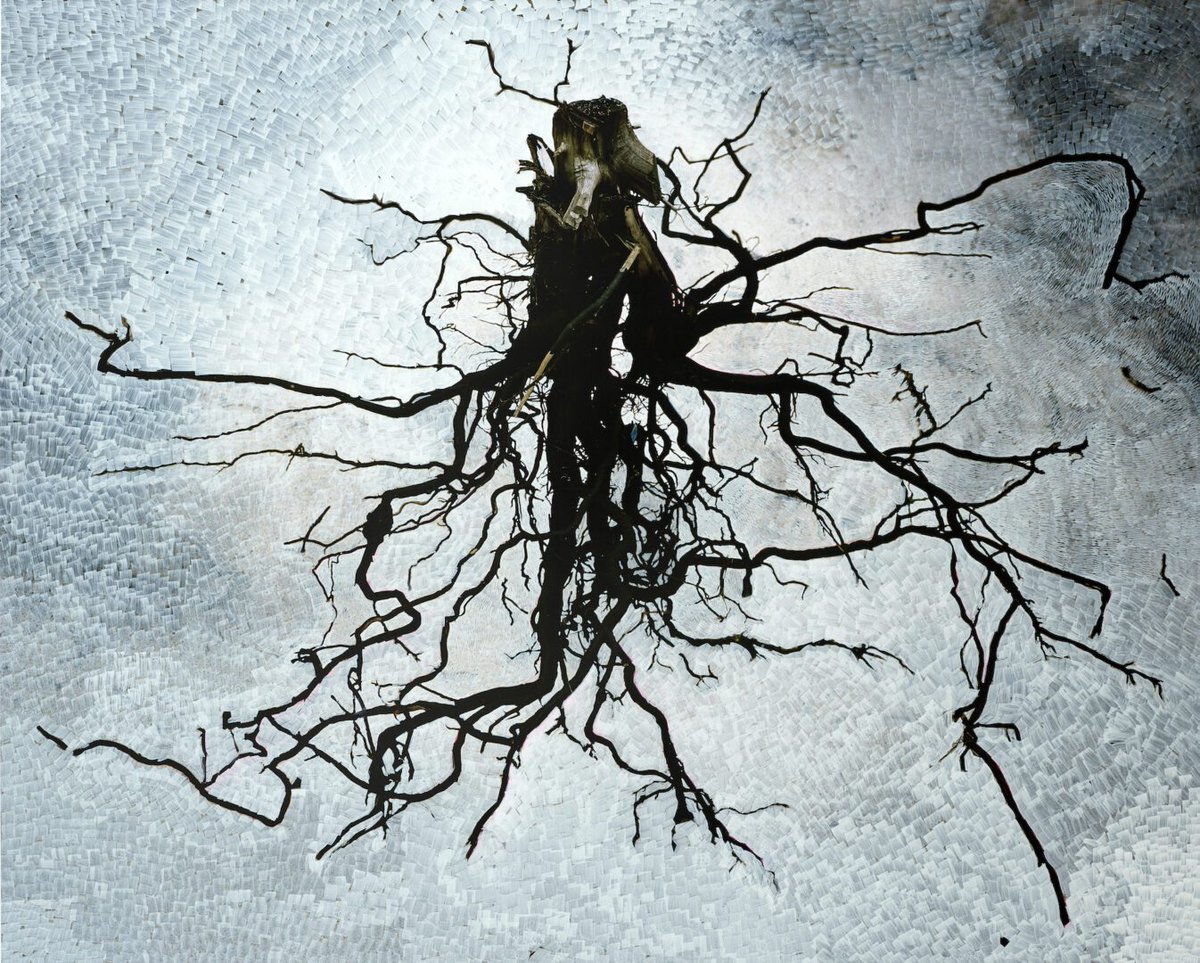 Viviane Sassen’s 'This Body Made of Stardust' spans two decades of surreal, evocative photography. 

The show, at Collezione Maramotti, features dreamlike images of bodies and nature that explore memory, mortality and transformation.

Read more: aestheticamagazine.com/viviane-sassen…