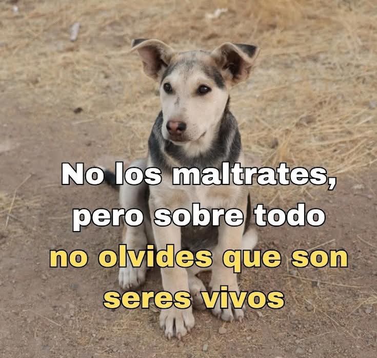 Sabueson tweet media