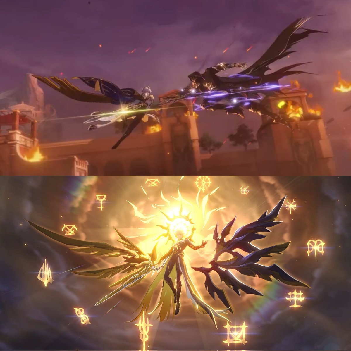 kaslanadaily's tweet photo. his wings...... one golden and the other dark....... https://t.co/l2BZbbIS6r