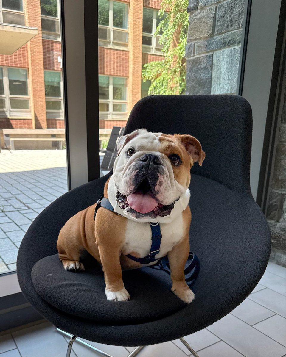 Heatwave 🚫 
Comfy chair in AC with a view? ✔️