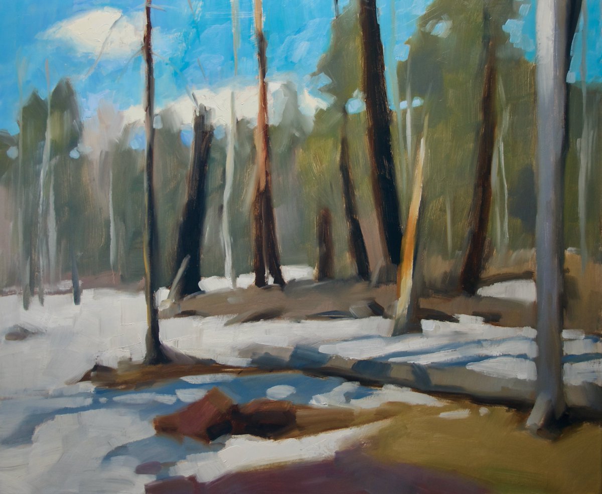 lgseebach's tweet photo. This morning's oil study of a scene in northern New Mexico, USA. Oil on linen, 30"x36" Day 6 of my 9th #100daysofpainting challenge.
#100daysofpainting #art #oilpainting #paintings #painting #artists #painterlypainter #artists #artistsontwitter #madeinamerica #dashpay https://t.co/WvsjeCzofA