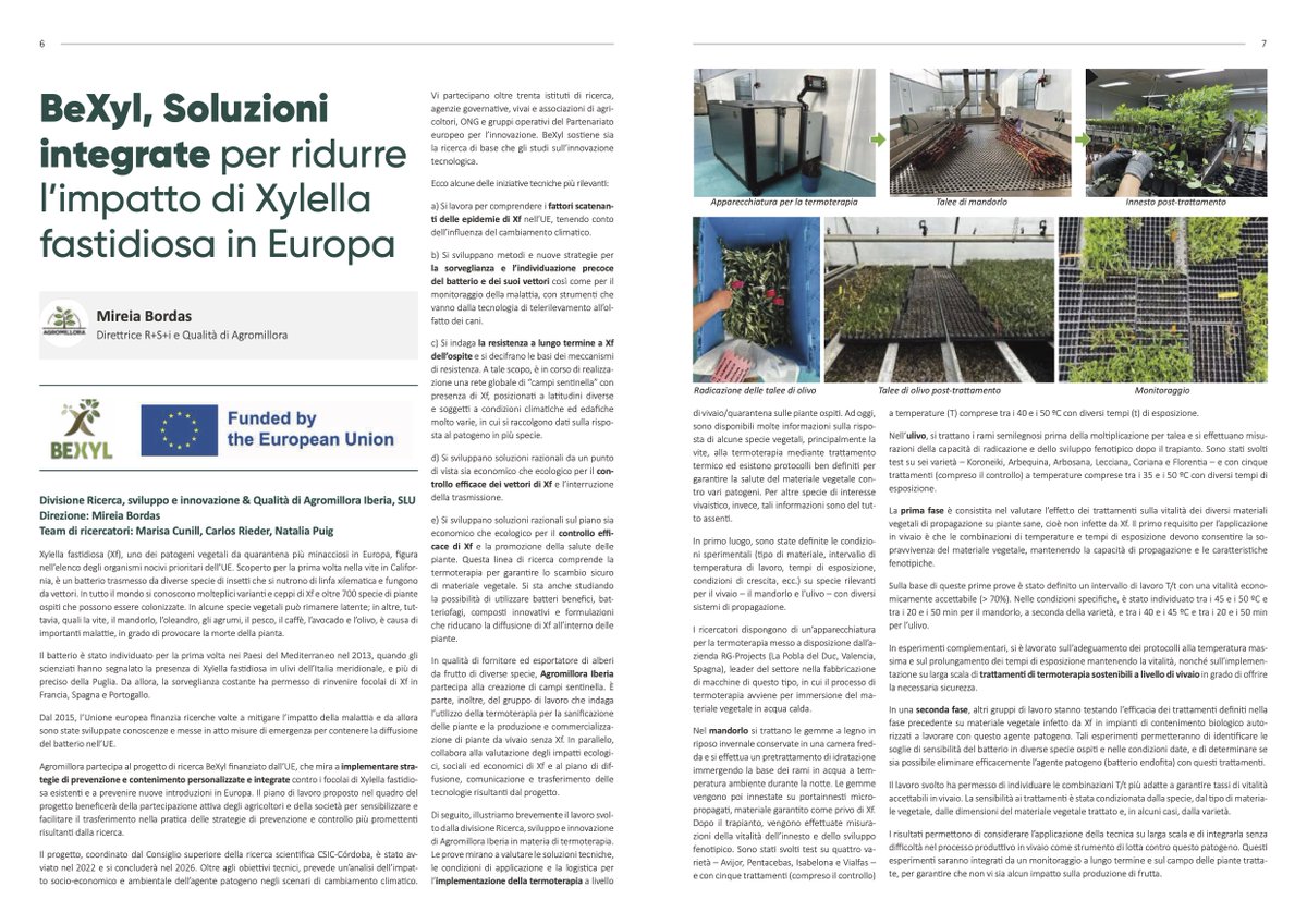 BexylP's tweet image. In OLINT magazine&apos;s June issue, you&apos;ll find a dedicated article on the #BeXylProject, highlighting our key collaboration with Agromillora! 🗞️🌱

Agromillora is contributing significantly to BeXyl&apos;s EU-funded efforts for #XylellaFastidiosa prevention and containment strategies.…