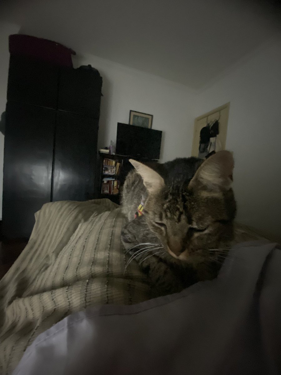 Cancelado levantarme. Tengo parálisis de sueño (?)