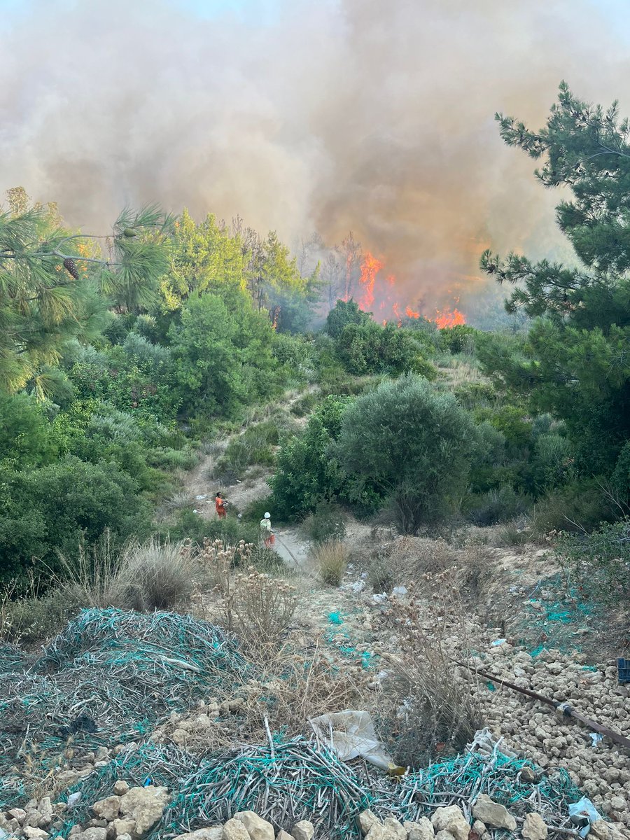 Antalya'nın Aksu ilçesine bağlı Yurtpınar ve Fettahlı mahallelerinde orman yangını çıktı. Alevlere; 3 helikopter, 2 uçak, 11 arazöz, 5 su ikmal aracı, 3 ilk müdahale aracı ve çok sayıda orman yangın işçisiyle müdahale ediliyor.
#Antalya #OrmanYangını #yangin