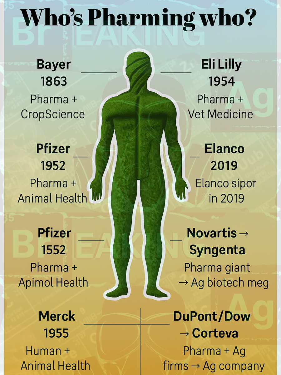 BreakingAg's tweet image. A timeline of Pharmaceutical Companies that have also owned Ag Divisions over time. 

These three remaining companies have been allowed to gobble up competition at the price of American Farmers. 

#Agriculture #Corruption 

⁦@Bayer⁩ ⁦@corteva⁩ ⁦@Syngenta⁩
