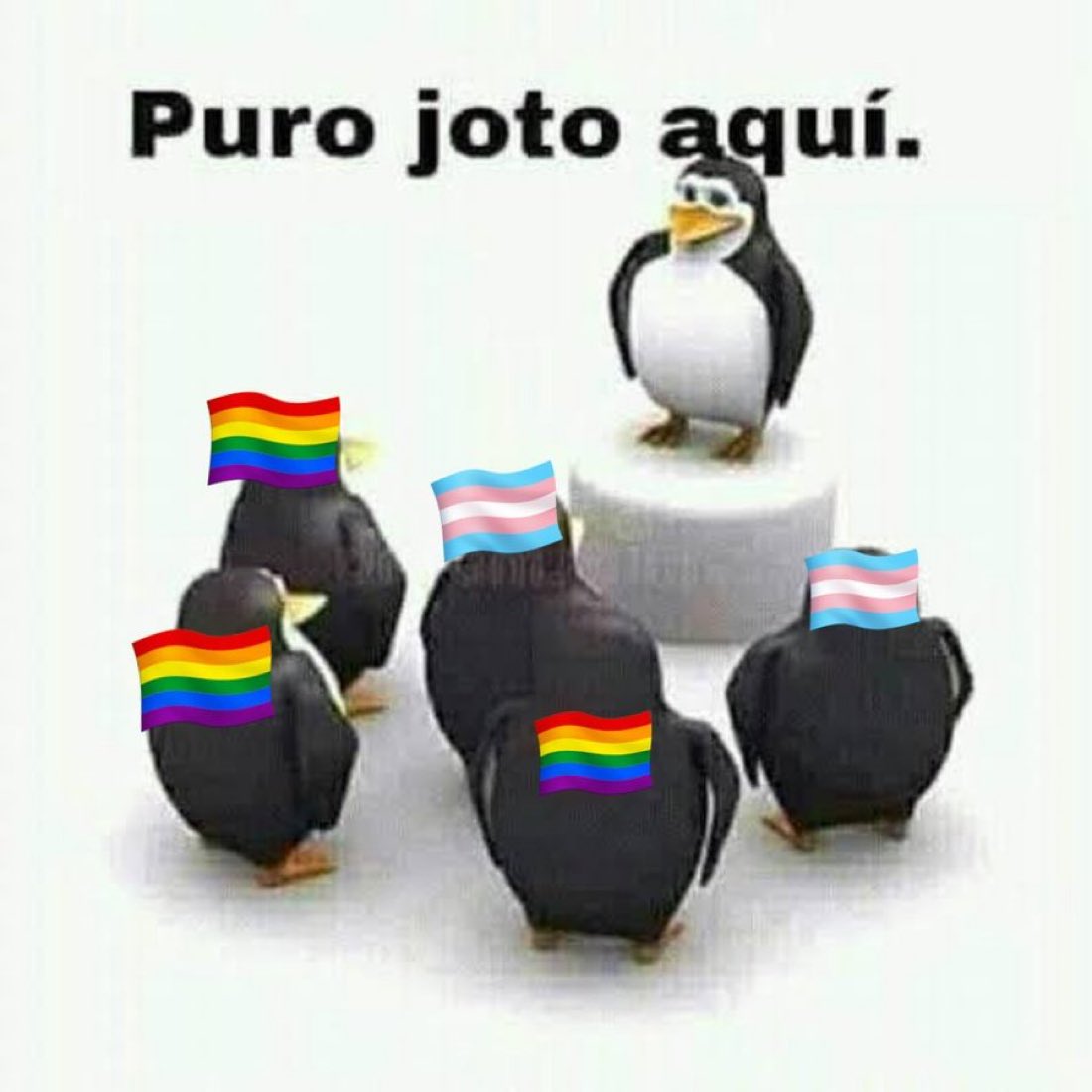 ExtraCancha's tweet photo. i ci https://t.co/17WhIXgAb0