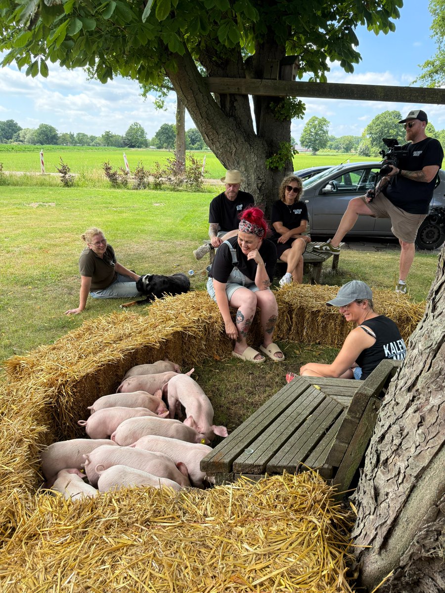 BoerenDingen's tweet photo. 𝗝𝗔𝗪𝗘𝗟! 𝗗𝗲 𝗹𝗮𝗮𝘁𝘀𝘁𝗲 𝗸𝗹𝗶𝗸 𝗶𝘀 𝗴𝗲𝘇𝗲𝘁! 📸🌾
Dag 3 van onze fotoshoots voor de Boeren &amp; Boerinnen Kalender 2026 zit erop — en wát voor eentje!  Een dikke dankjewel aan Dijk 43, alle boer(inn)en en crewleden. Zonder jullie geen kalender! 🐄💪 https://t.co/u4wrzHWrRB