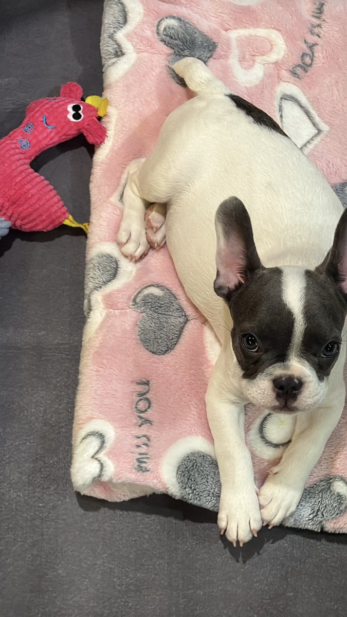 wixxiws's tweet photo. How beautiful u r ja ? https://t.co/AqkE0kHfXL