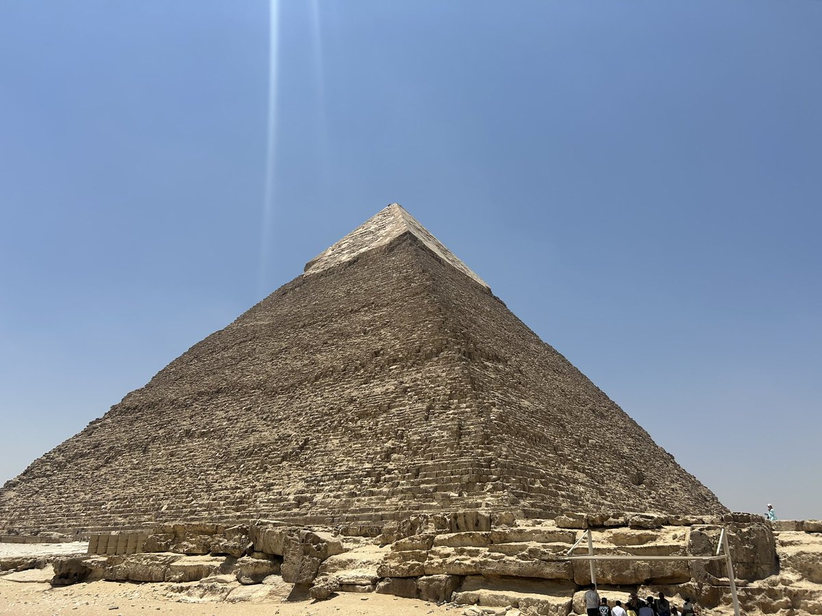 Georgia Cartwright☀️ tweet media