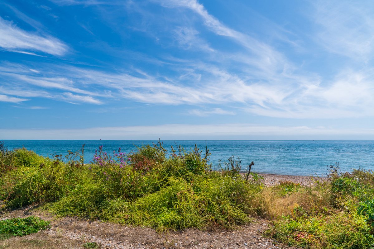 Coastal JJ UK (@coastaljjuk) on Twitter photo The Red Arrows passing Selsey this afternoon, whilst we sat on a bench overlooking the sea, under blue skies and brilliant sunshine.Glorious! <a href="/BBCSussex/">BBC Sussex</a> <a href="/BBCSouthWeather/">BBCSouthWeather</a> <a href="/itvmeridian/">ITV News Meridian</a> <a href="/AlexisGreenTV/">Alexis Green</a> <a href="/HollyJGreen/">Holly Green - Weather Presenter</a> <a href="/PhilippaDrewITV/">Philippa Drew</a> <a href="/ExpSussex/">ExperienceSussex</a> <a href="/VisitSEEngland/">Visit South East England</a> <a href="/rafredarrows/">Red Arrows</a> The Red Arrows passing Selsey this afternoon, whilst we sat on a bench overlooking the sea, under blue skies and brilliant sunshine.Glorious! <a href="/BBCSussex/">BBC Sussex</a> <a href="/BBCSouthWeather/">BBCSouthWeather</a> <a href="/itvmeridian/">ITV News Meridian</a> <a href="/AlexisGreenTV/">Alexis Green</a> <a href="/HollyJGreen/">Holly Green - Weather Presenter</a> <a href="/PhilippaDrewITV/">Philippa Drew</a> <a href="/ExpSussex/">ExperienceSussex</a> <a href="/VisitSEEngland/">Visit South East England</a> <a href="/rafredarrows/">Red Arrows</a>