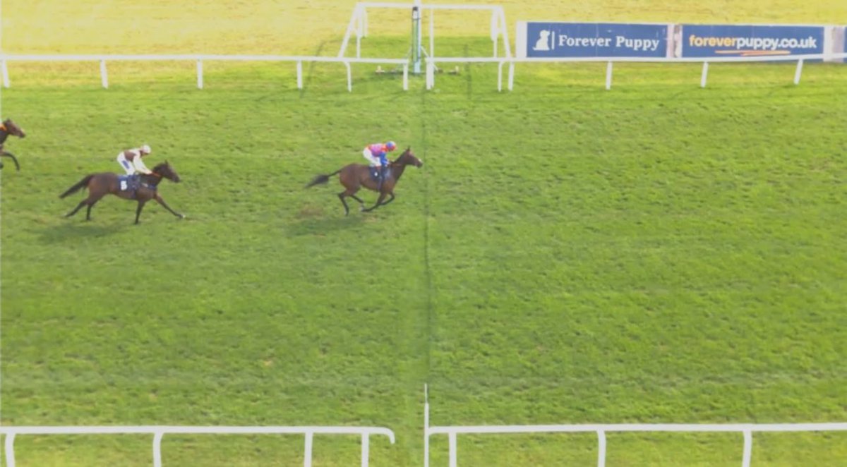 BEAMING LIGHT 💡 

David Loughnane what a legend 🤝 

NAP WINS EASY!