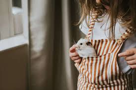 Amelia17am's tweet photo. Small but mighty and definitely stealing hearts! ๐ญ๐
#CuteCritter #WhiteRat #TinyFriend #PetLove #RodentLife #AdorablePets https://t.co/IkIvj93c5y