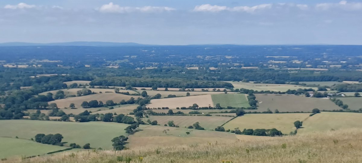 TommyCoyneBN1's tweet photo. I did go to #DevilsDyke in the end.
Glorious https://t.co/A8b5mVqeB3
