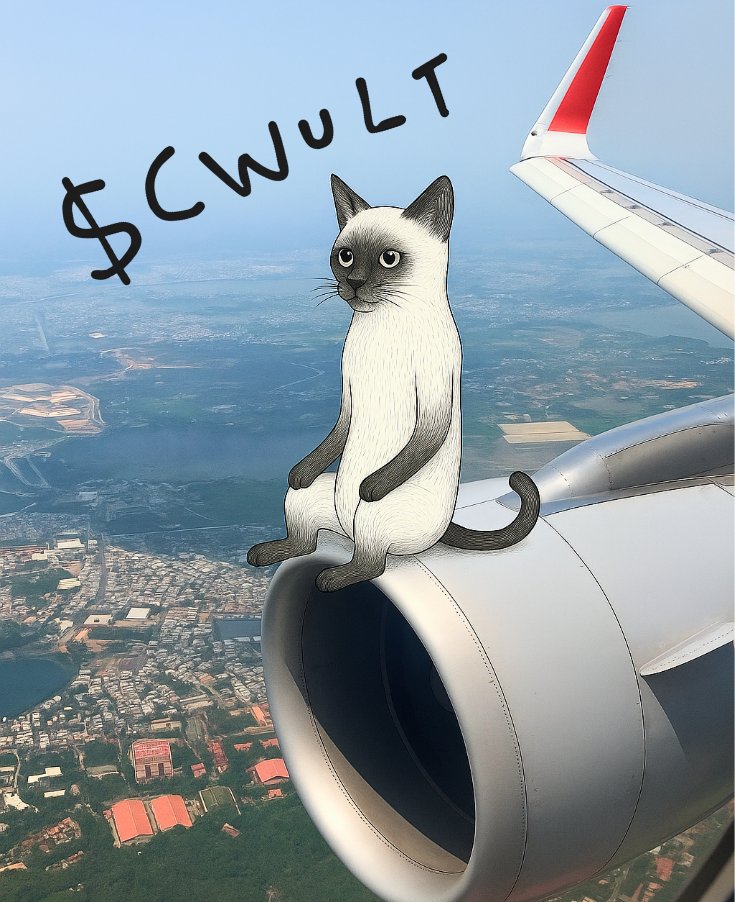 sharkbunny_'s tweet photo. your coin’s in economy.
$CWULT cat sittin' on the plane.
not in it.
on top.
cruising at 40,000 feet of stretch 😼✈️
#CWULT #LongCatAirlines #MileHighMeow #TooLongToLand https://t.co/gjkJduyAyZ