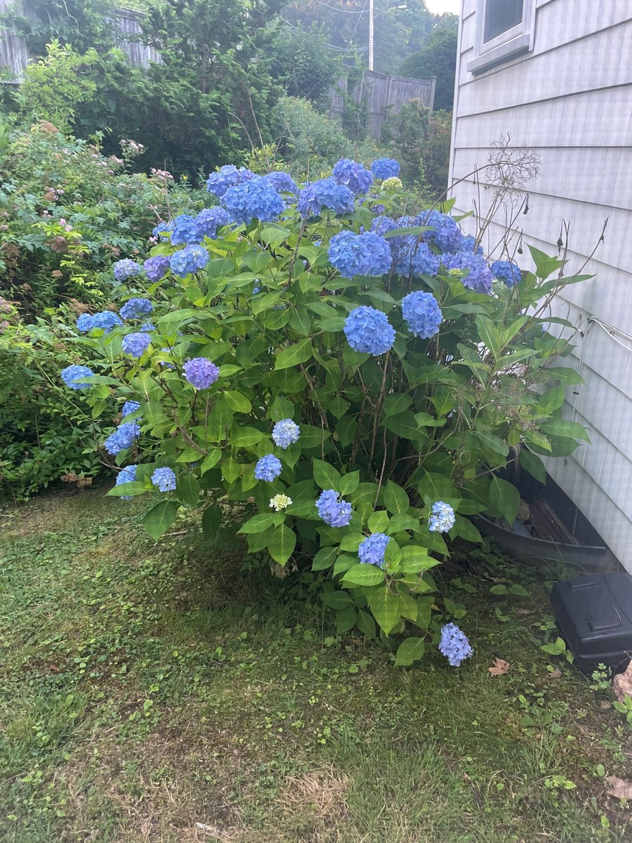Mark D. Siegel (@markdsiegel1) on Twitter photo Program Director's Note - How We Learn
What I've learned about learning after 35 years in medicine. A #ProgramDirectorsNote to my <a href="/TradIMYale/">Yale IM Traditional Residency Program</a> residents. <a href="/YaleIMed/">Yale Internal Medicine</a>
open.substack.com/pub/siegelmark… Program Director's Note - How We Learn
What I've learned about learning after 35 years in medicine. A #ProgramDirectorsNote to my <a href="/TradIMYale/">Yale IM Traditional Residency Program</a> residents. <a href="/YaleIMed/">Yale Internal Medicine</a>
open.substack.com/pub/siegelmark…