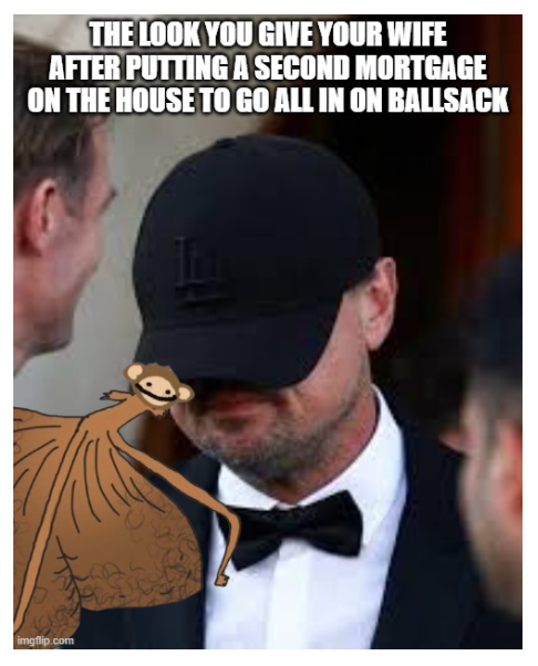 fuckyieldly's tweet photo. BALLSACK
WE'VE ALL BEEN THERE
SOMETIMES YOU JUST HAVE TO GO
BALLS DEEP
@ballsack_algo @LeoDiCaprio @JeffBezos @ElonMuskAOC @AlgoFoundation @Coop_Daniels #ALGO #ALGORAND #ALGOFAM #FUNNY #MEME #MEMCOINS #memecoin #memecoinproject https://t.co/S5rYKjvsh5