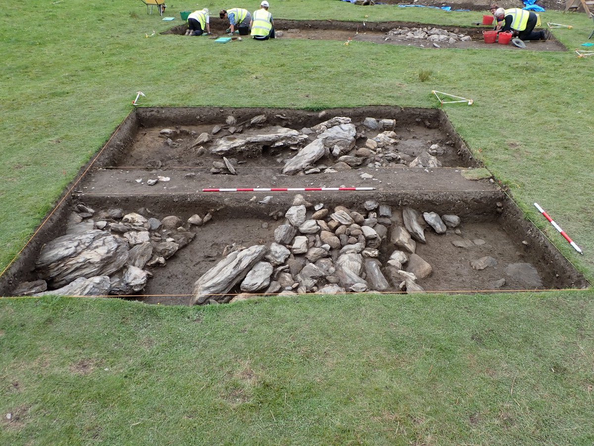 UCD Archaeology, Dublin tweet media