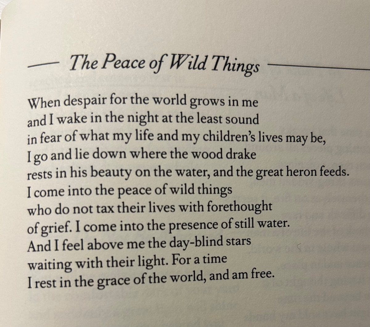A Sabbath Poem by Wendell Berry
—This one goes out to everybody who fought for our public lands and let their voices be heard by those in power