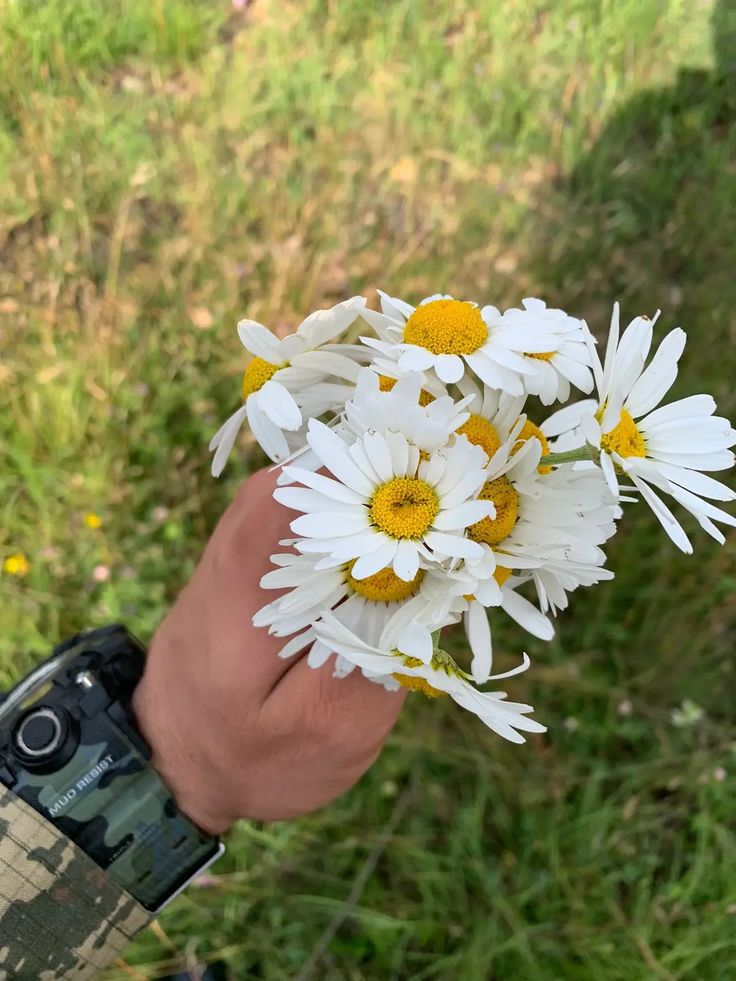 always online (@marrymoody33520) on Twitter photo 